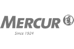 Mercur