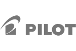 Pilot